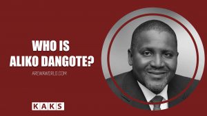 Read more about the article Who is Dangote?