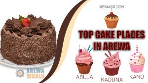 Read more about the article Top 10 Bakers in Arewa, Nigeria