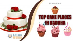 Read more about the article 10 Bakers in Kaduna, Nigeria