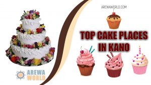 Read more about the article 10 Bakers in Kano, Nigeria