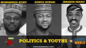 Read more about the article Youths & Politics in Nigeria