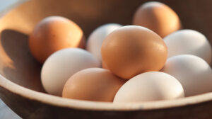 Read more about the article Eggs and It’s Benefits